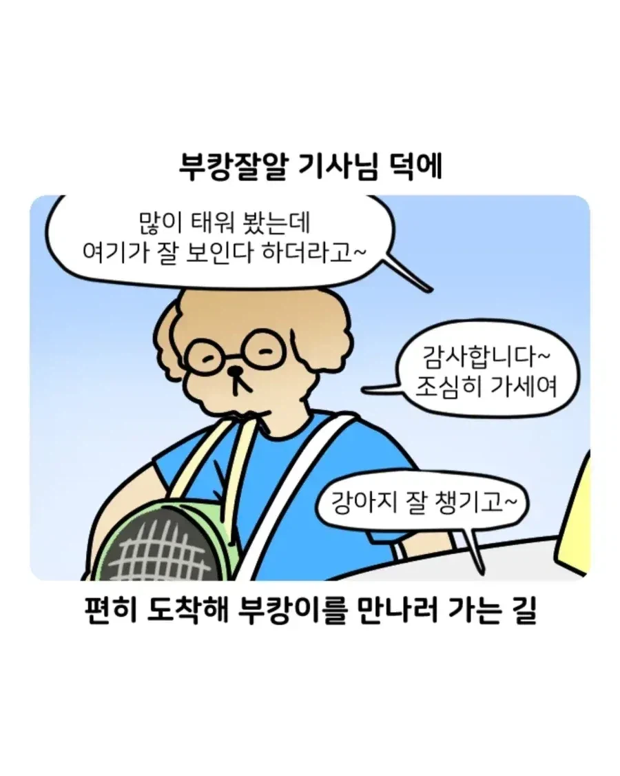 부캉이 보러갔다가 부산택시 경험한 만화.jpg