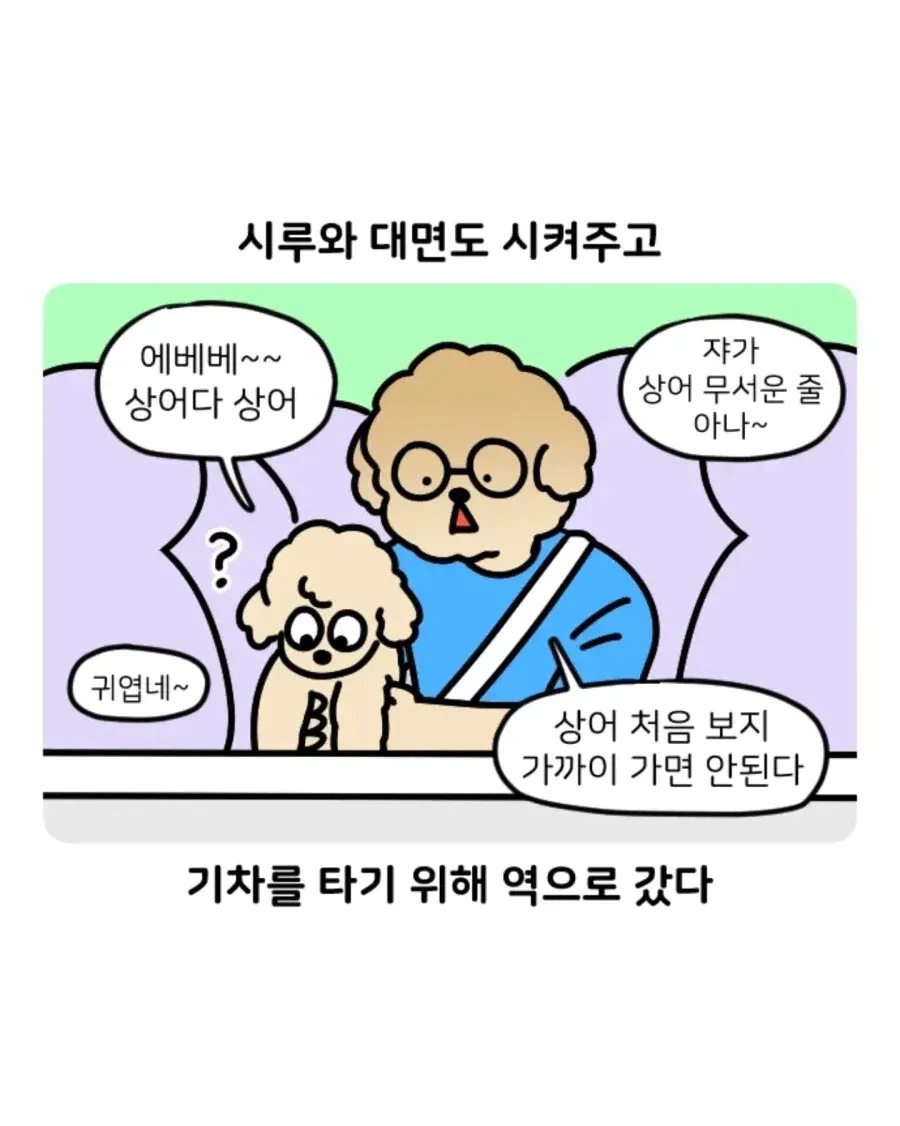 부캉이 보러갔다가 부산택시 경험한 만화.jpg