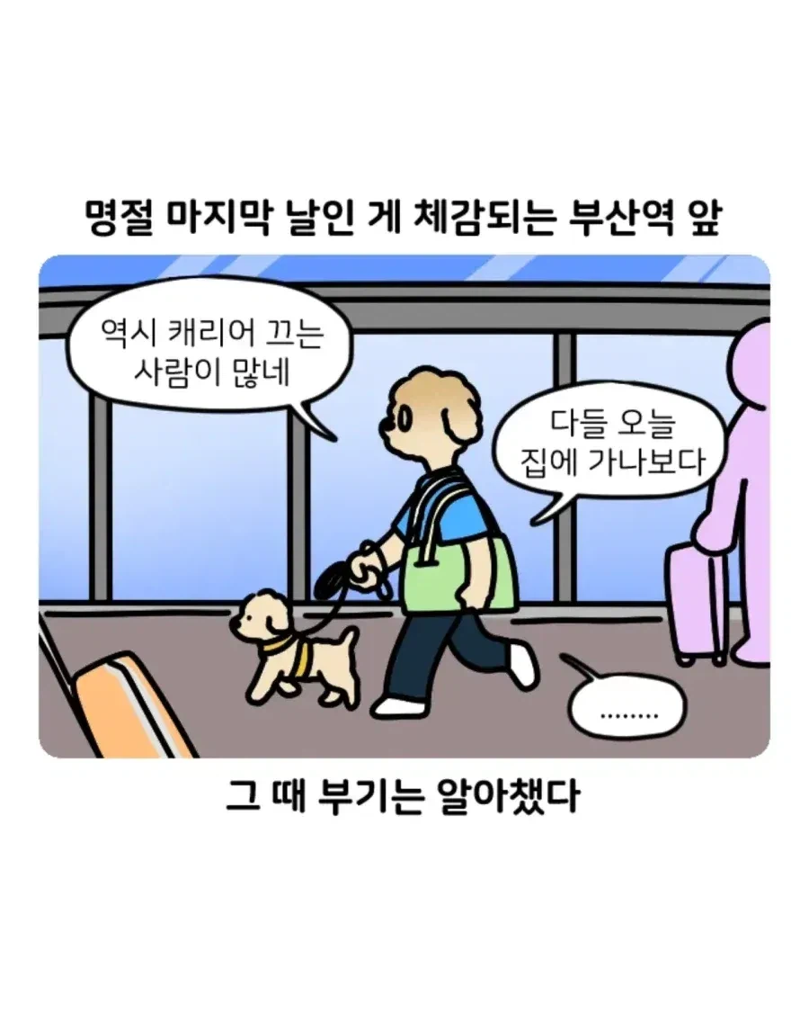 부캉이 보러갔다가 부산택시 경험한 만화.jpg