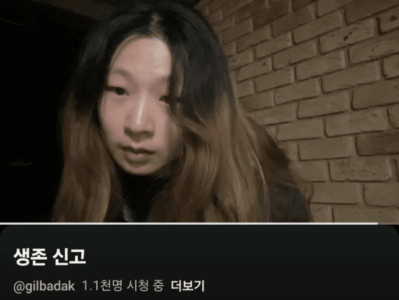 홀로 인도여행 갔다가 사라진 여자 유튜버