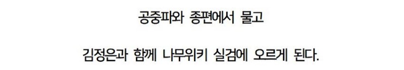 홀로 인도여행 갔다가 사라진 여자 유튜버
