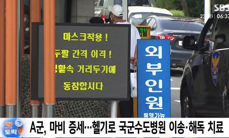 코브라에 물린 중학생, 입건 위기.