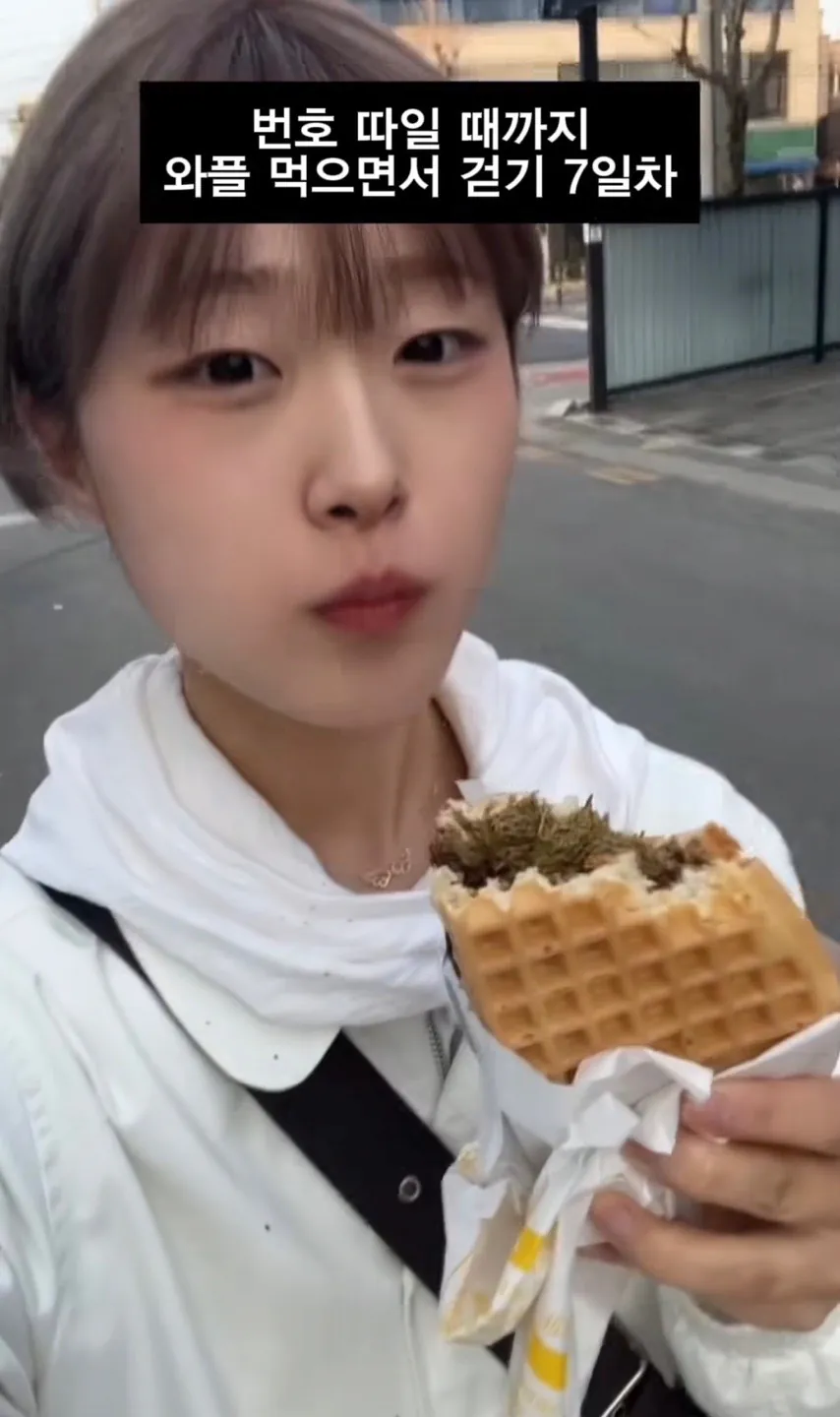 길거리에서 번호 따일때까지 와플 먹으면서 걷기.jpg