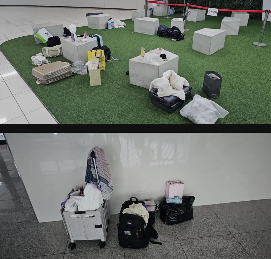 간곡한 호소에도 결국 또 터진 서코 근황
