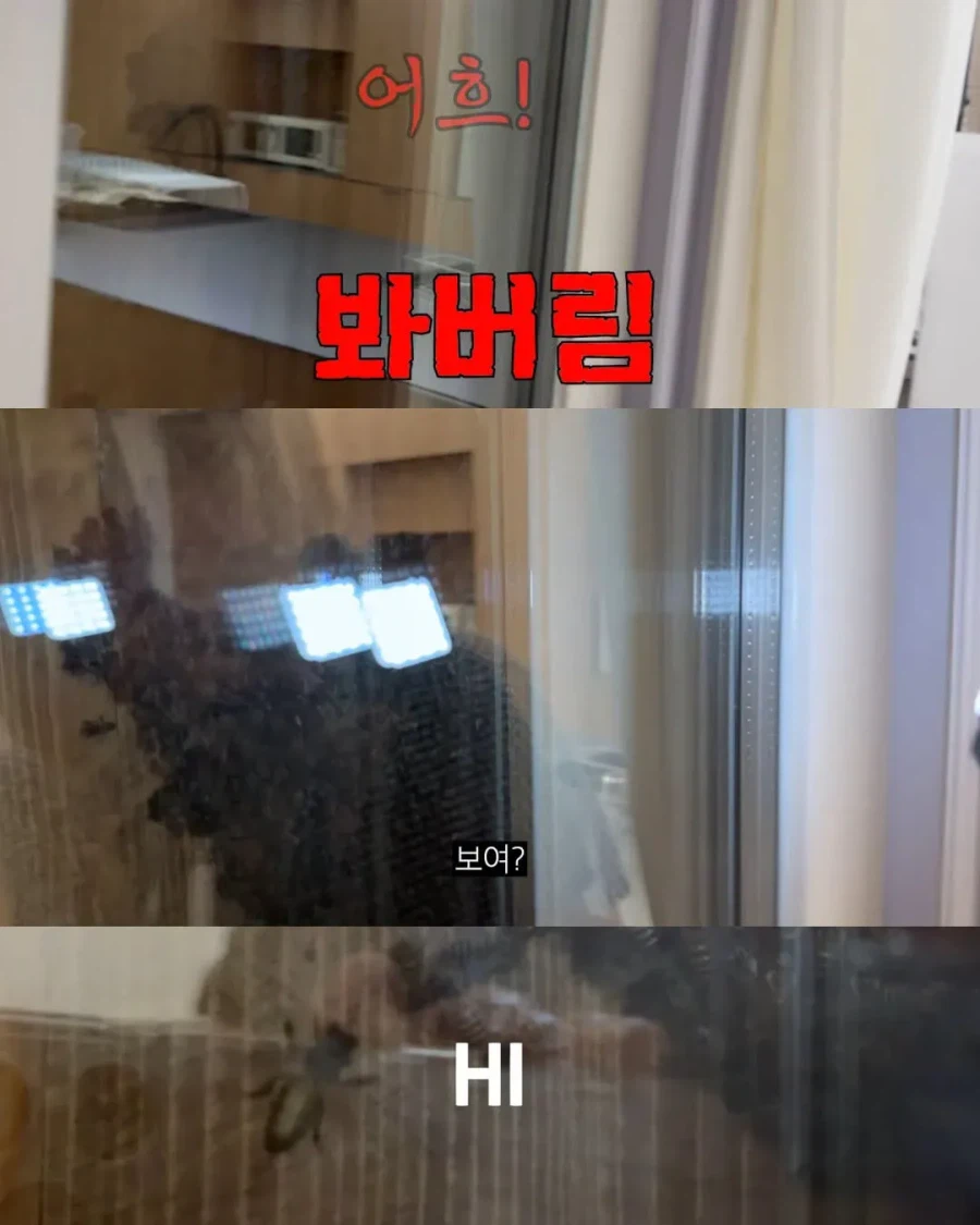 2주만에 제주도 집 갔다가 119 부른 김숙