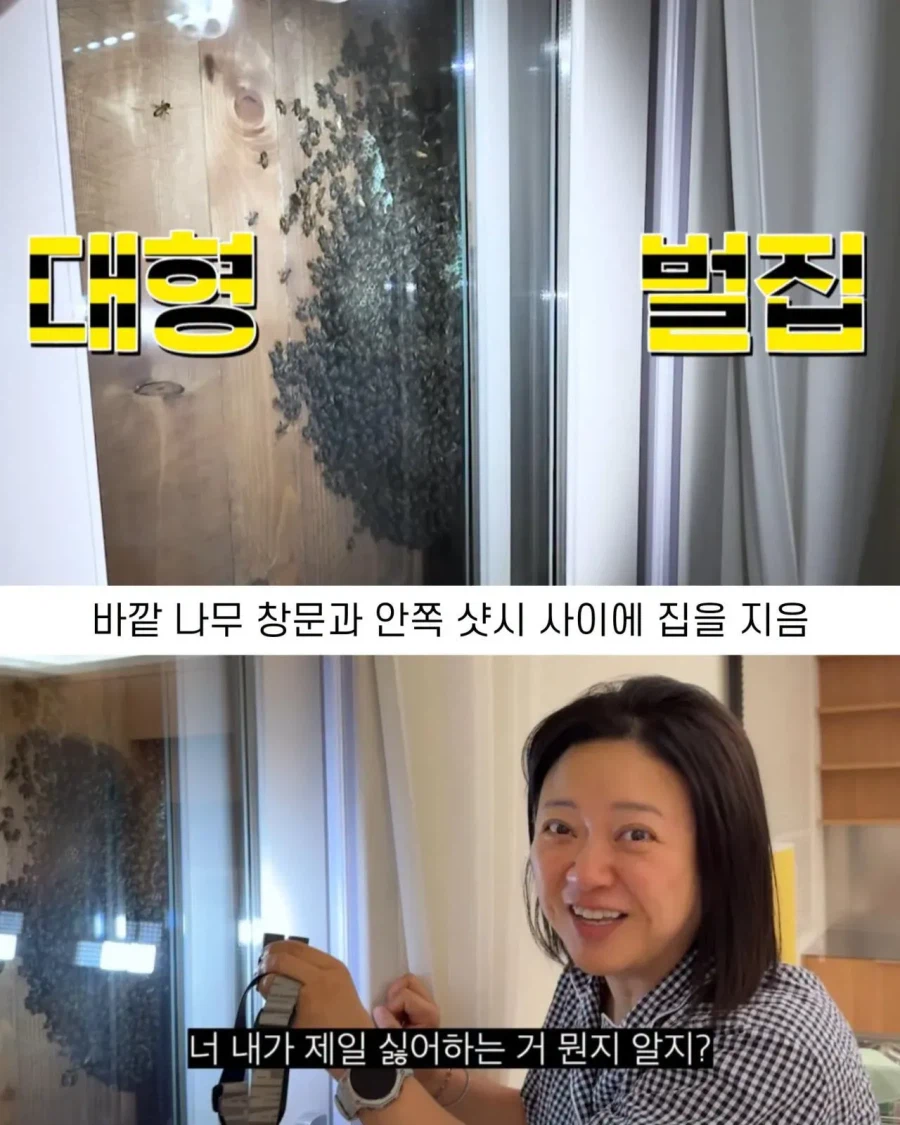 2주만에 제주도 집 갔다가 119 부른 김숙