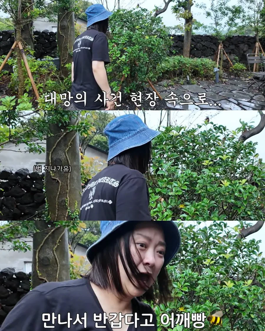 2주만에 제주도 집 갔다가 119 부른 김숙