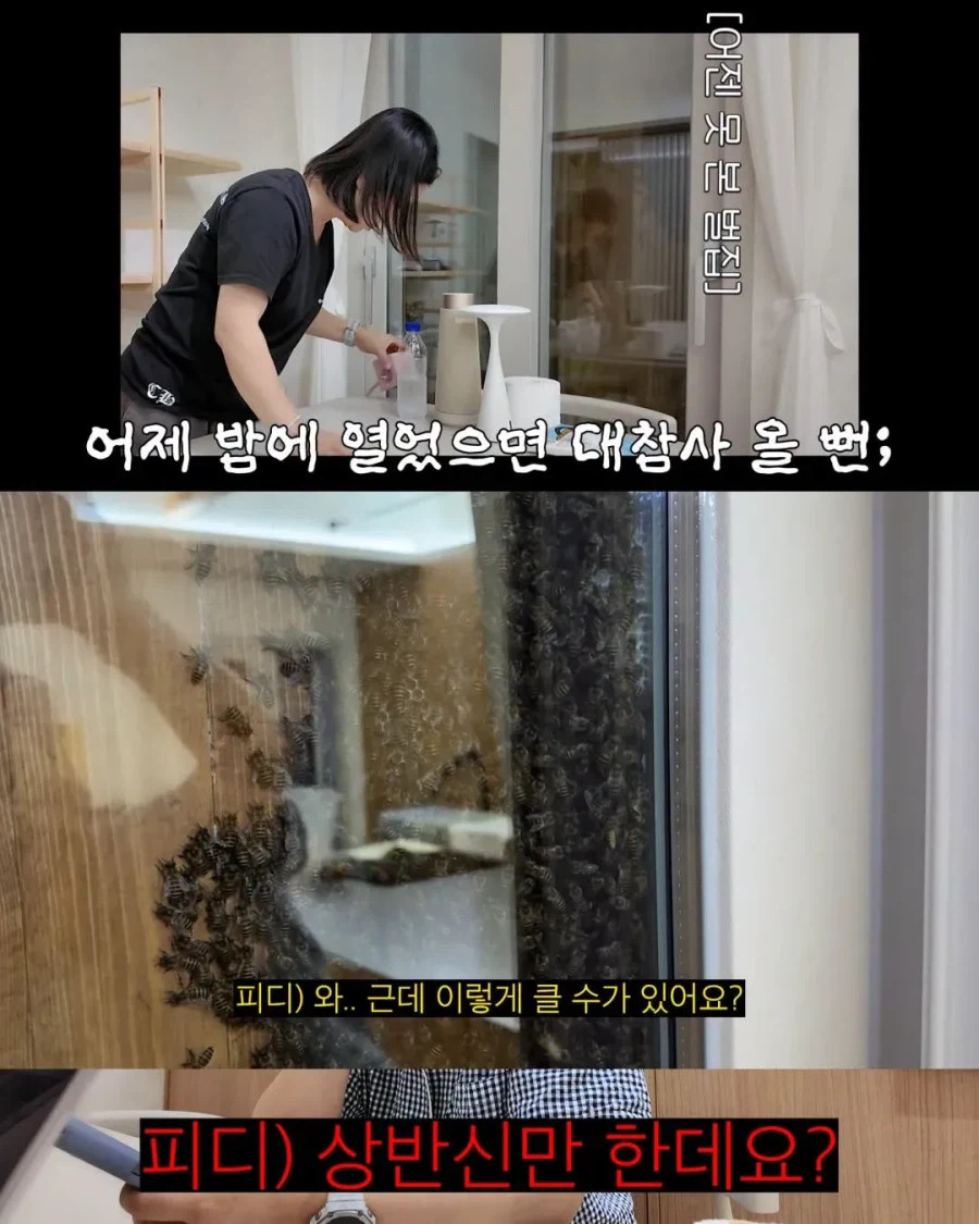 2주만에 제주도 집 갔다가 119 부른 김숙