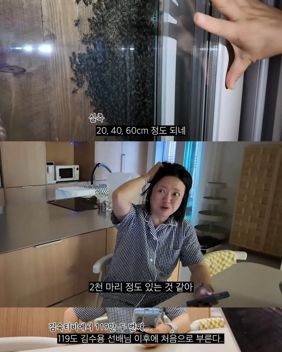 2주만에 제주도 집 갔다가 119 부른 김숙