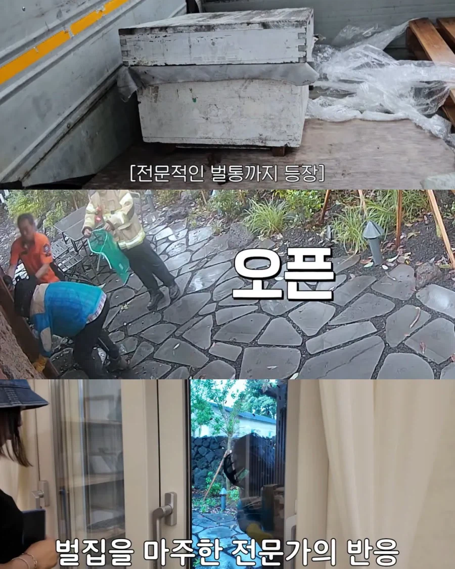 2주만에 제주도 집 갔다가 119 부른 김숙