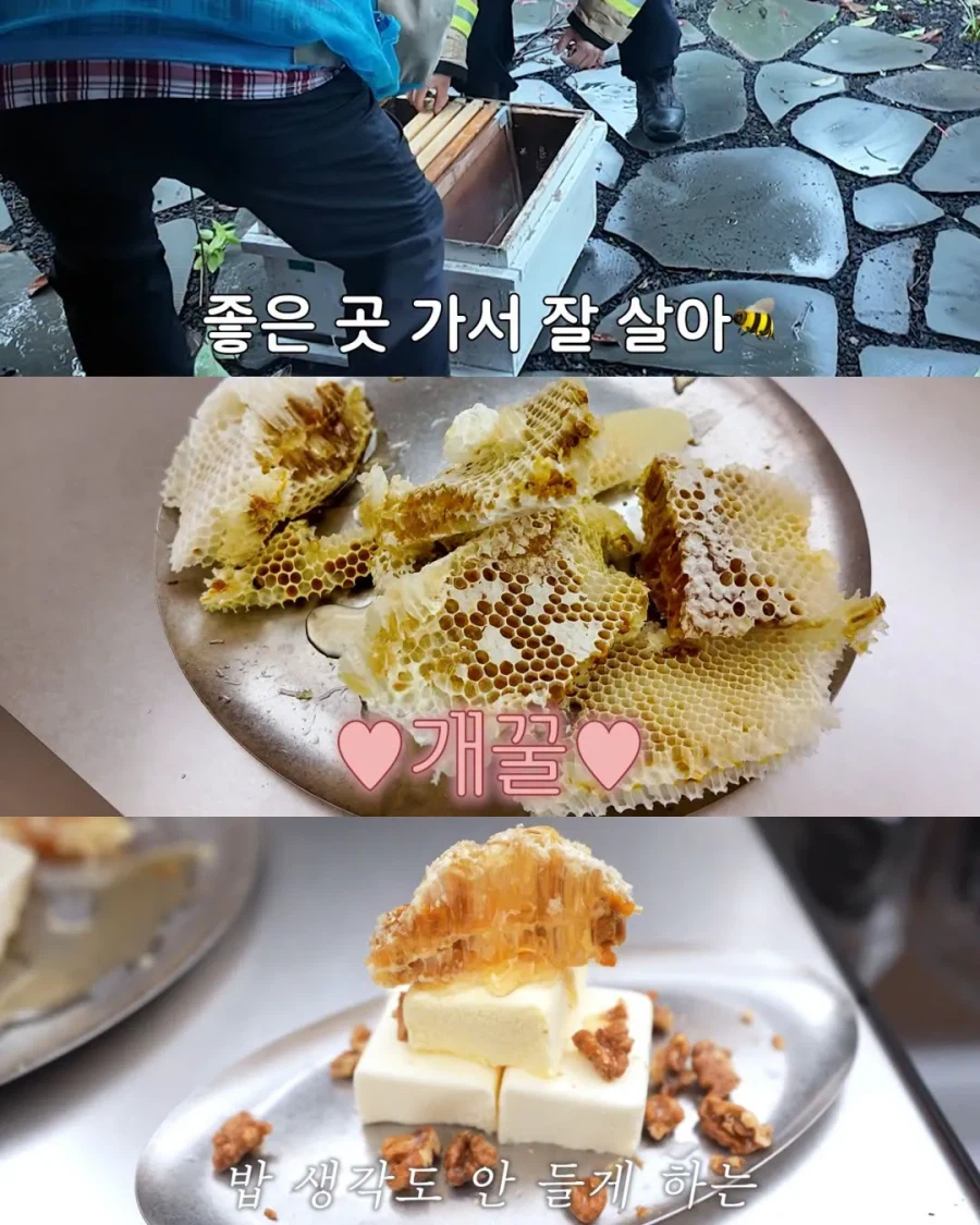 2주만에 제주도 집 갔다가 119 부른 김숙