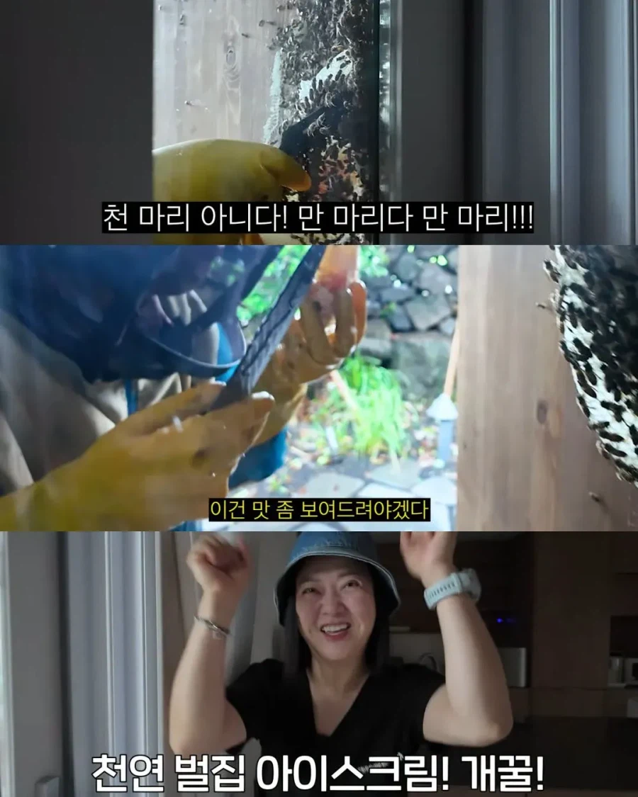 2주만에 제주도 집 갔다가 119 부른 김숙