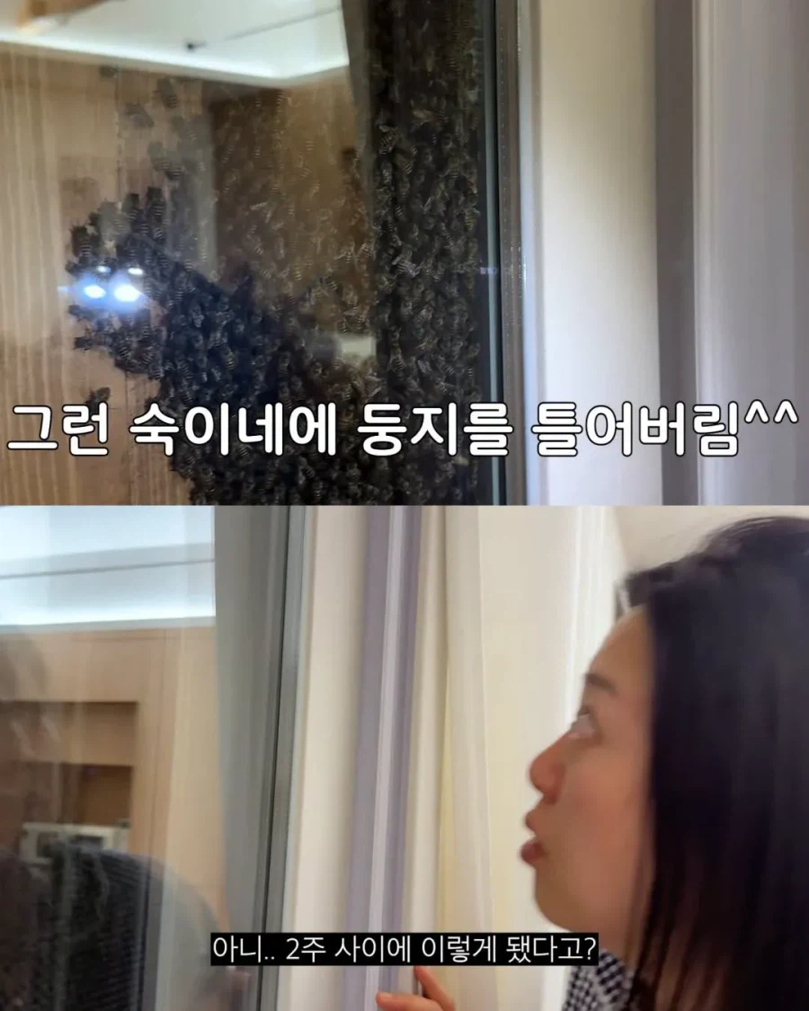 2주만에 제주도 집 갔다가 119 부른 김숙