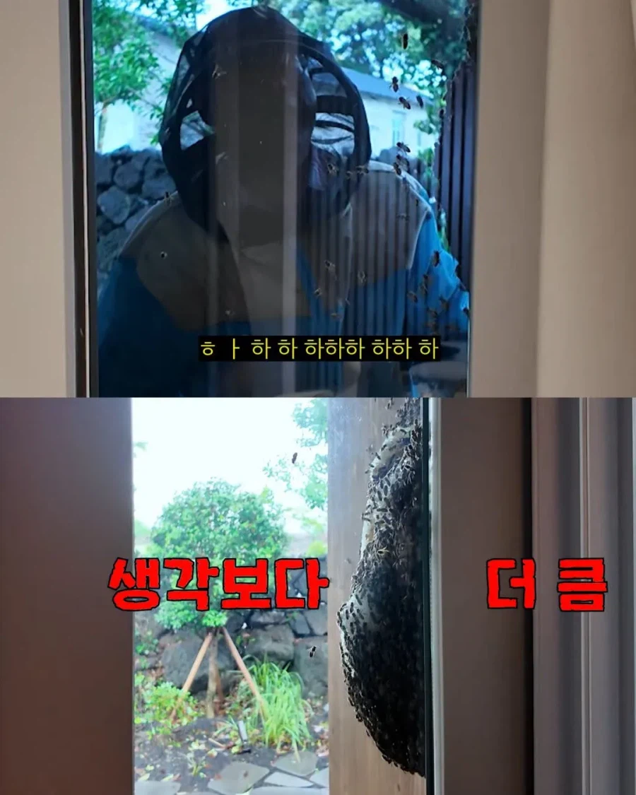 2주만에 제주도 집 갔다가 119 부른 김숙
