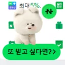 네페 24원