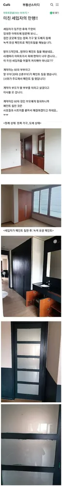 49평 아파트 내부에 페인트칠을 한 세입자.