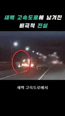 고속도로 사망사고의 진실