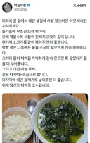 최근 일본에서 인기라는 한국 음식.jpg