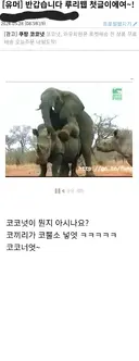 유게 뉴비와 경력직의 차이.jpg