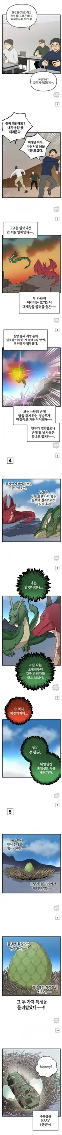 동양용 vs 서양용