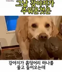 유투브 쇼츠 AI 뇌절 대잔치