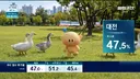 선거 방송 보니 아직 현역이시네