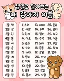 내가 강아지라면 어떤 이름일까?🐶