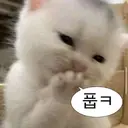 ? 저거 송파구 정떡글 북유게 형들 보라고 가서 올려드리니까