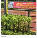 강남에 걸렸던 불륜 고발 현수막