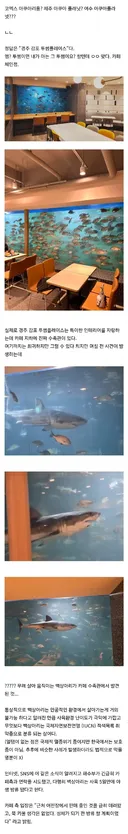 5일간 전세계 1위급이었던 한국 수족관.jpg