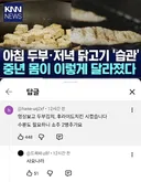 아침 두부, 저녁 닭고기 '습관' 중년 몸이 이렇게 달라졌다.jpg