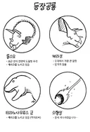 NTR 만화 등장인물