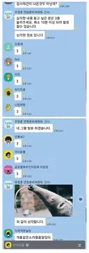심각한 주식 단톡방 상황