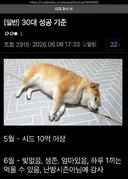 30대의 성공 기준