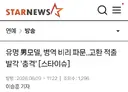 유명 男모델, 병역 비리 파문... 군대 안 가려고 고환 적출 발각.jpg