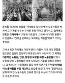러다이트 운동의 진실