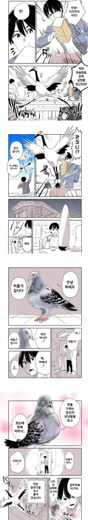 뭔지 모르겠는.manwha