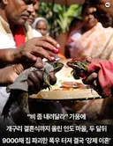 비가 안와서 기우제 지낸 인도 마을, 두 달뒤.jpg