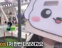진캐 이미 콩주 유튜브에 나온거 알고있음?