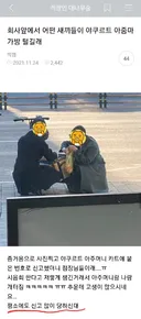 어떤 새1끼들이 야쿠르트 아줌아 가방 털어간다!!!!