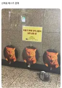 비둘기 피해 대책 신제품 테스트 결과