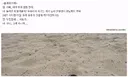 우주에서 지구는 여기 모래 한 알정도 밖에 안돼