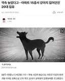 약속 늦었다고…아파트 15층서 강아지 집어던진 20대 집유