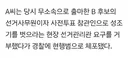 성조기 몸에 두르고 투표 참관