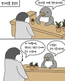 펭귄들이 반려식물 분양받는 만화.manwha