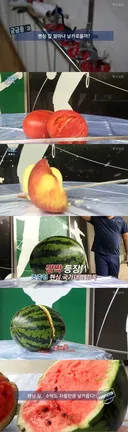 펜싱 칼에 맞은 기자 ㄷㄷㄷ.jyp (멍주의)