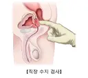 그동안 남자인척 유게에 글써서 죄송합니다.