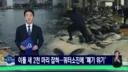 참치 때문에 난리났다는 동해 근황