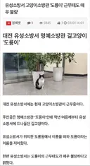 근무태도 불량으로 논란인 소방관