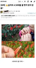 스스로 꿀빨았다고 인정하는 40, 50대